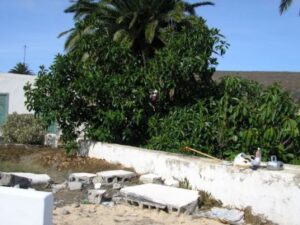 Wall debris