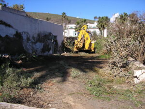 JCB heading to the camel sheds