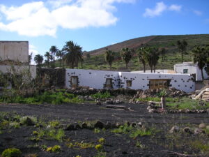 Camel Sheds 2007