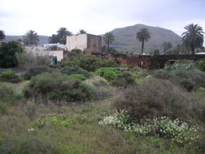 The property from the garden