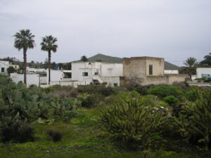 View of the garden