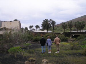 Camel Sheds 2005
